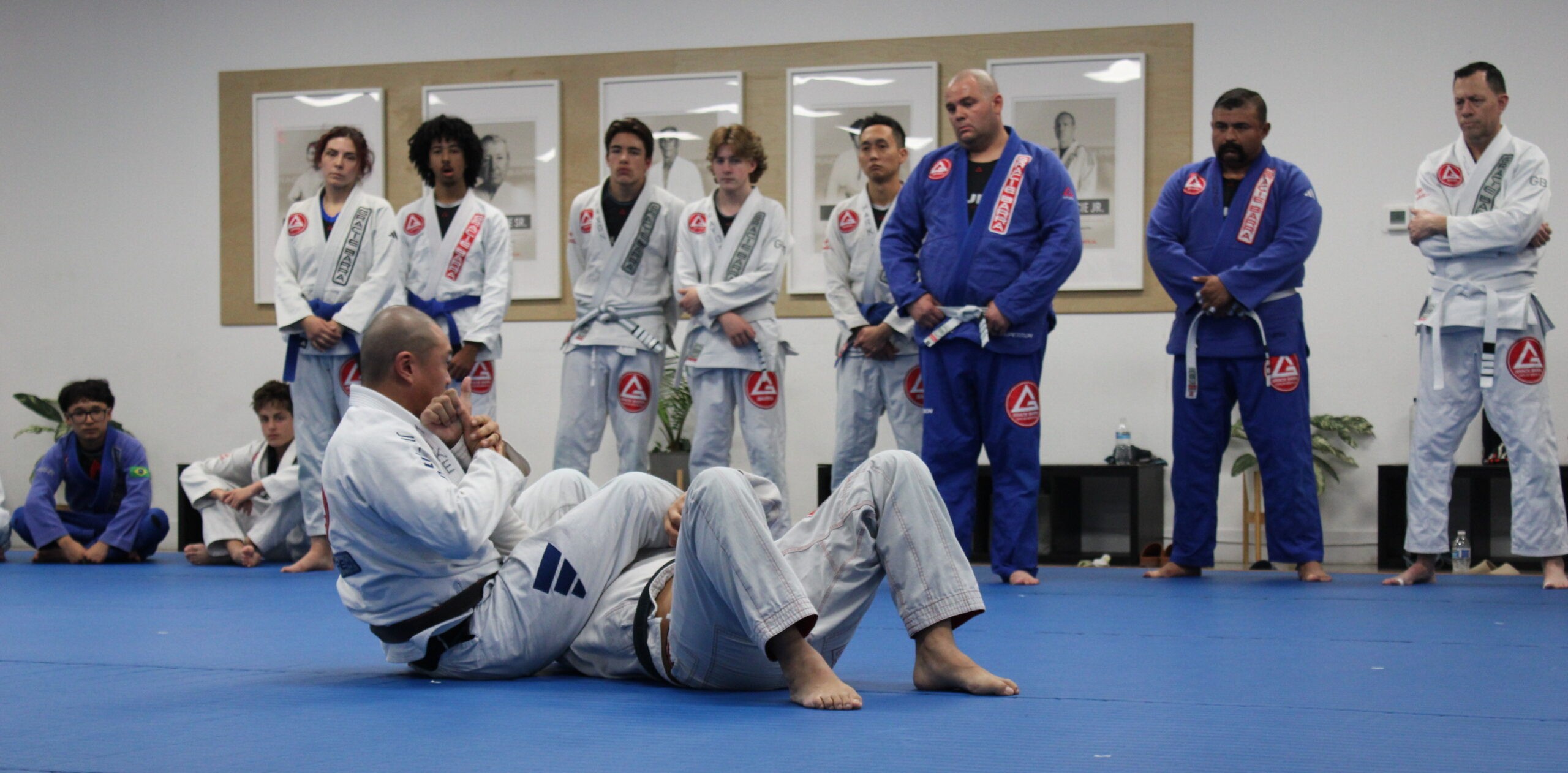 BJJ Classes Near Me
